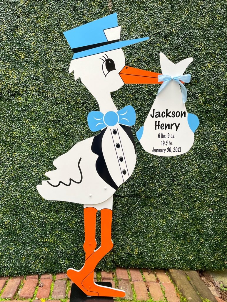 Blue Stork - Stork rental in Georgia