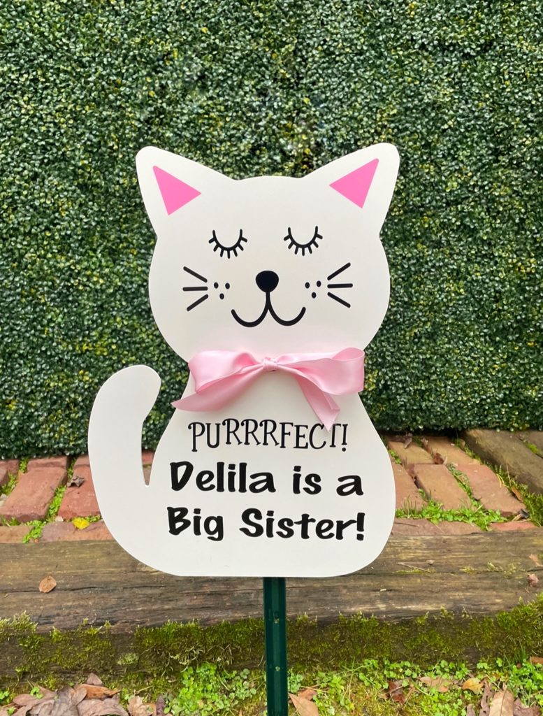 Cat Sign - Stork rental in Georgia